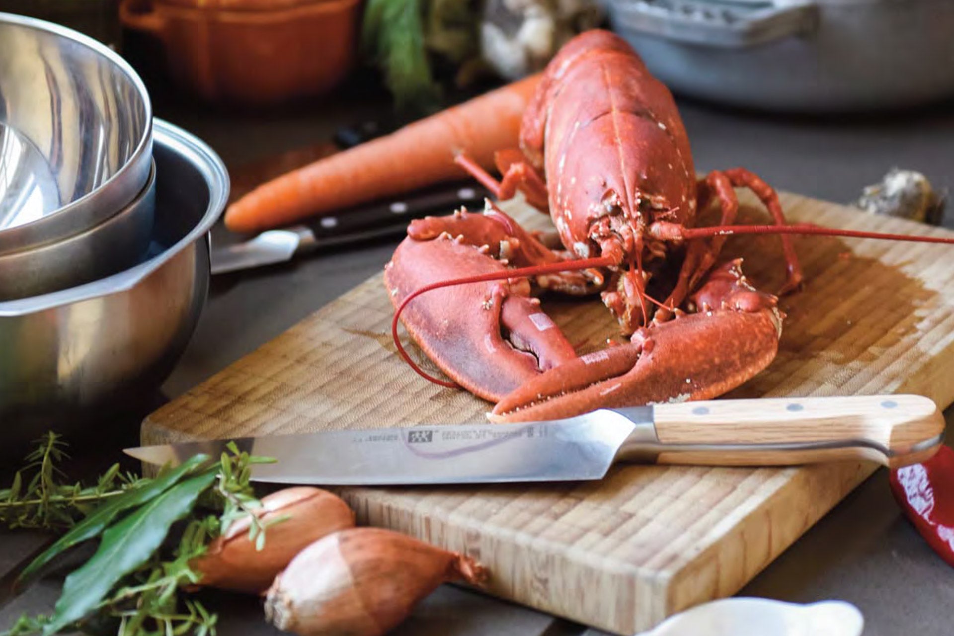 Zwilling Fall/Winter Gourmet Guide 2018