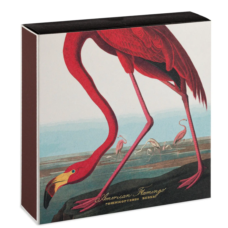 Archivist Gallery Matches - The American Flamingo