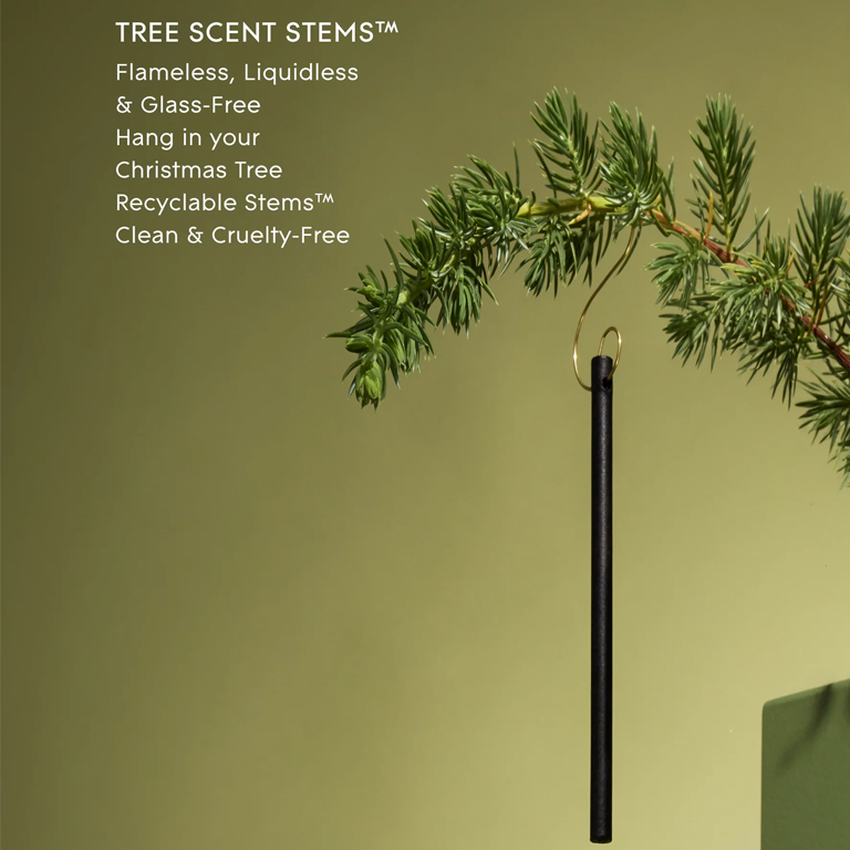 Glasshouse Fragrances Tree Hanging Scent Stems - Winter Wonderland