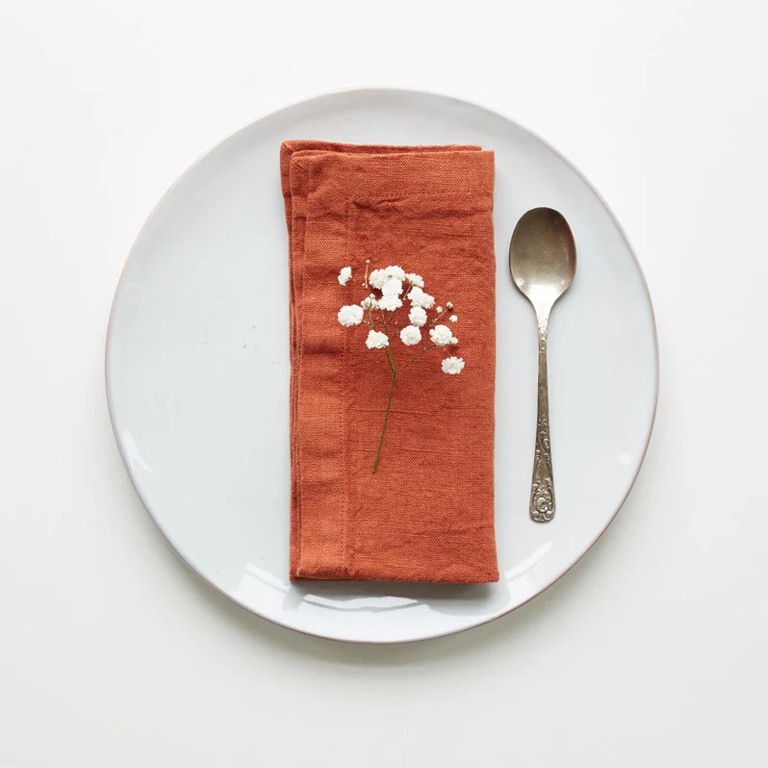 Linen Tales Napkins - Baked Clay Set of 2