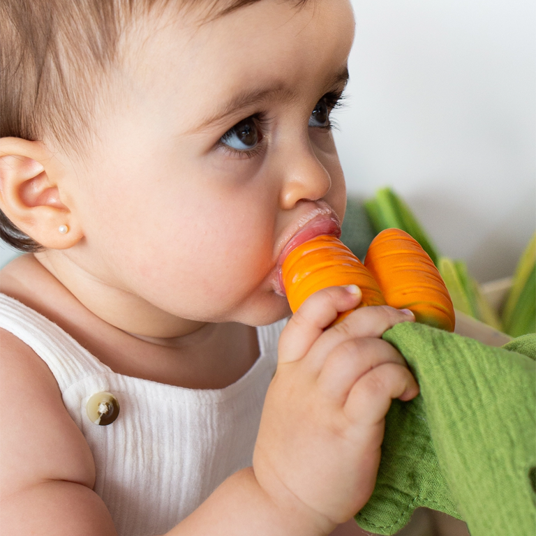 Oli&Carol Mini Dou-dou and Teether - Cathy the Carrot
