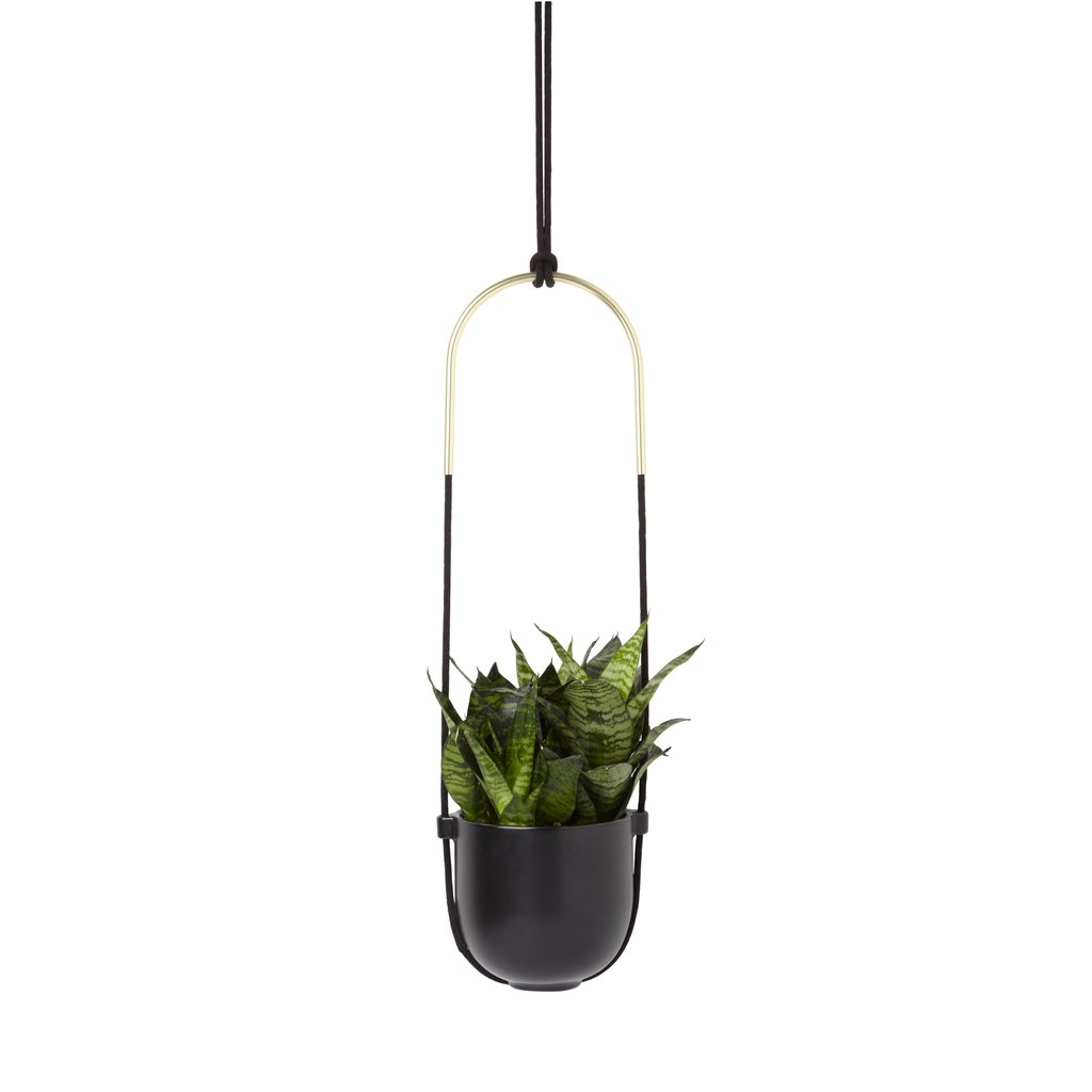 Umbra Bolo Hanging Planter - Black