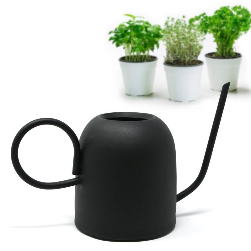 Danesco Watering Can
