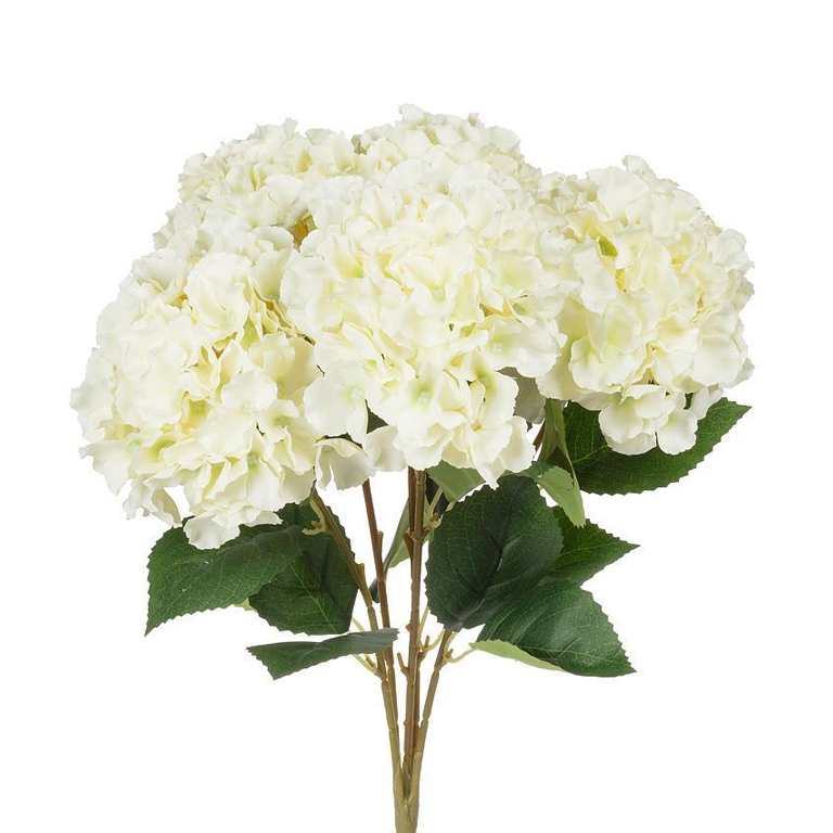 Abbott Hydrangea Bouquet - White