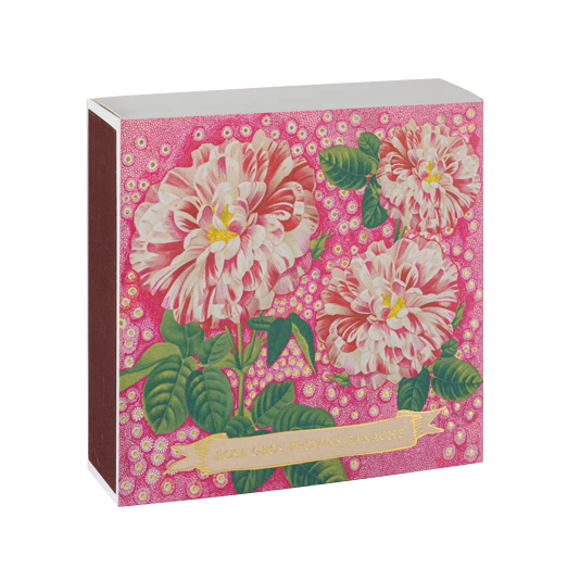 Archivist Gallery Matches - Rose Provin Petunia