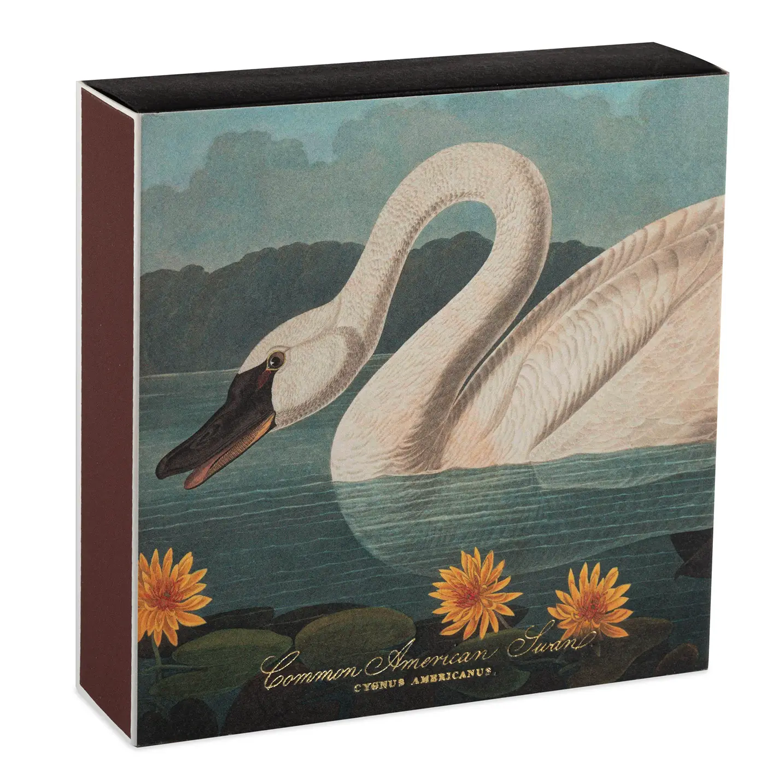 Archivist Gallery Matches - The Common American Swan