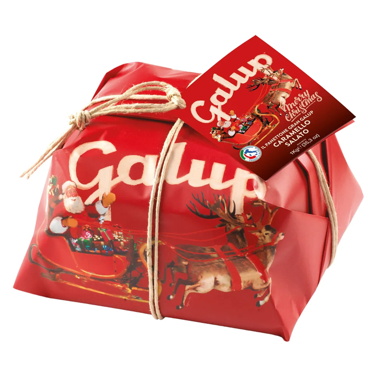 Galup Panettone Traditional 750g
