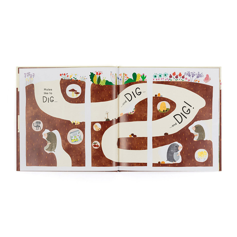 Jellycat Book - Muswell Mole and the Buried Treasure