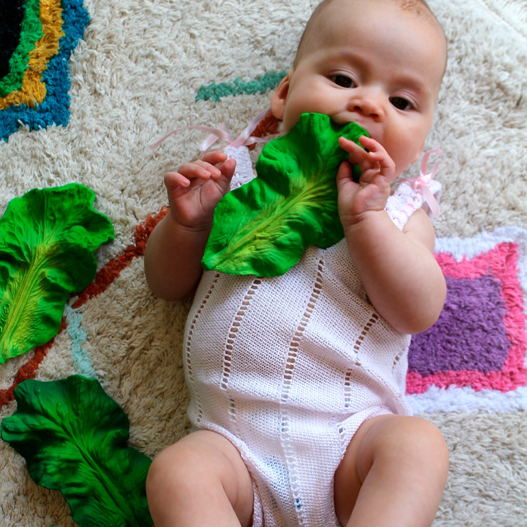 Oli&Carol Teether and Bath Toy - Kendall the Kale