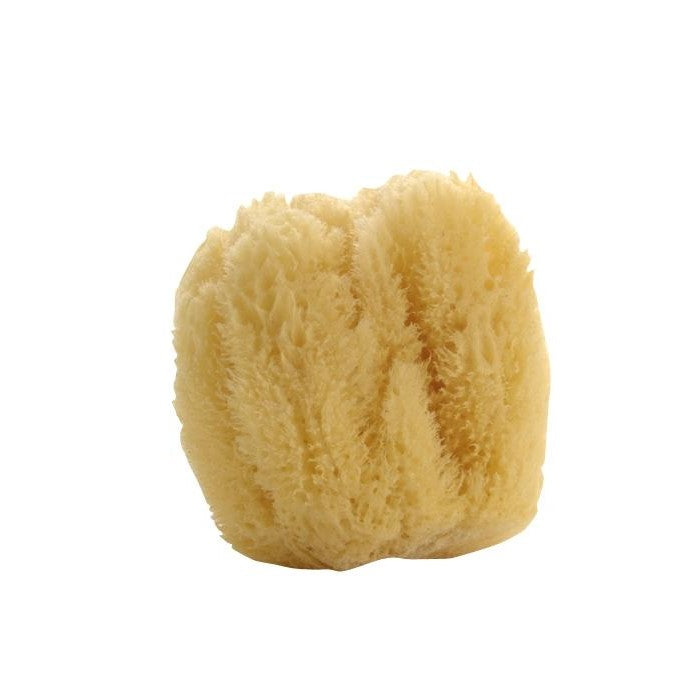 Compagnie de Provence Natural Sea Sponge