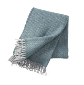 klippan_fogg_cactus_500px