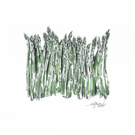 Niki Kingsmill Greeting Card - Asparagus