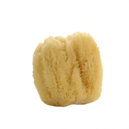 Compagnie de Provence Natural Sea Sponge
