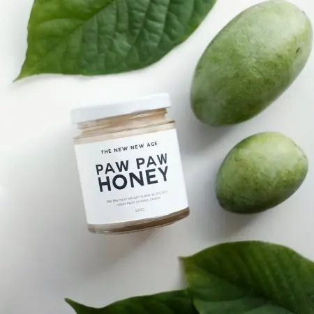 The New New Age Paw Paw Honey