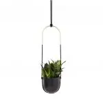 Umbra Bolo Hanging Planter - Black