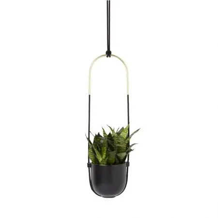 Umbra Bolo Hanging Planter - Black