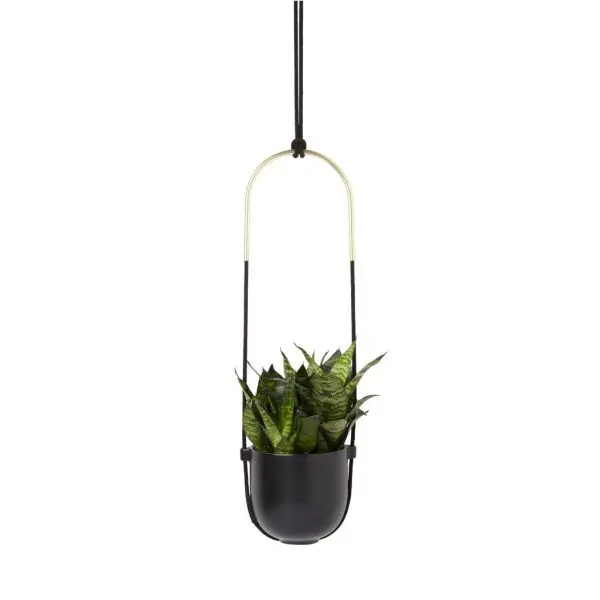 Umbra Bolo Planter - Image 3