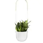 Umbra Bolo Hanging Planter - White