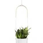 Umbra Bolo Planter - Image 2