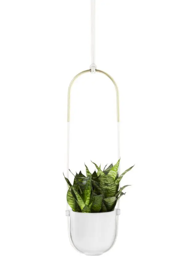 Umbra Bolo Planter - Image 2