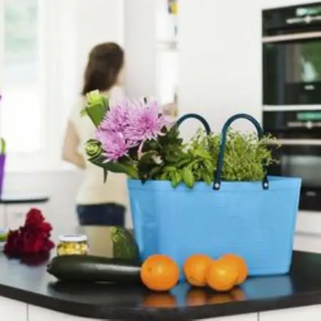 Hinza Eco Tote - Small