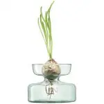LSA International Canopy Bulb Planter