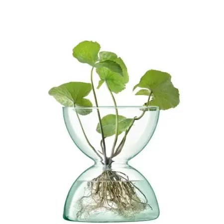 LSA International Canopy Vase 24cm