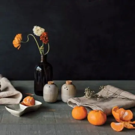 Danica Heirloom Napkins - Maison Stripe - Set of 4