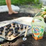 Modern Sprout Seed Ball Kit - Pollinator Garden - Image 2
