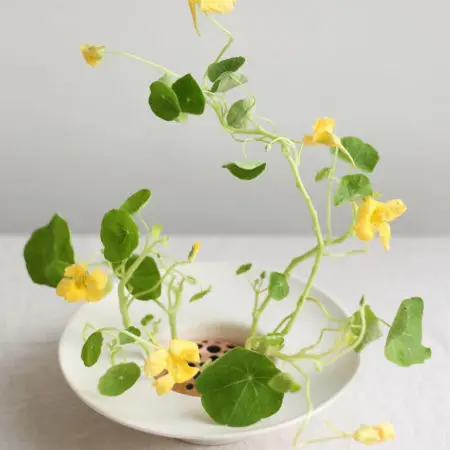 Floral Society Flower Frog Bowl Vase