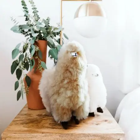Pokoloko Fur Alpaca
