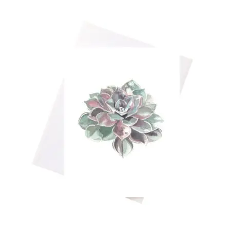 Niki Kingsmill Greeting Card - Succulent