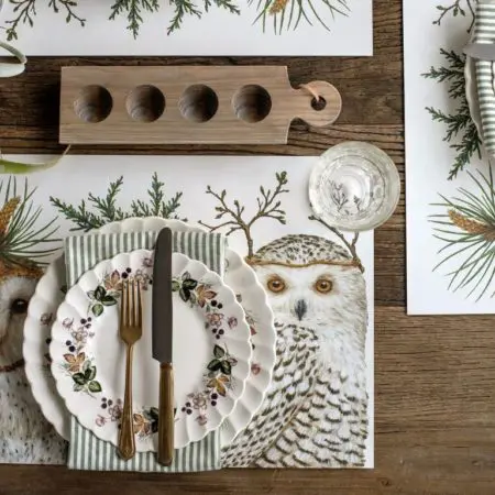Hester and Cook Placemats - Winter Owl