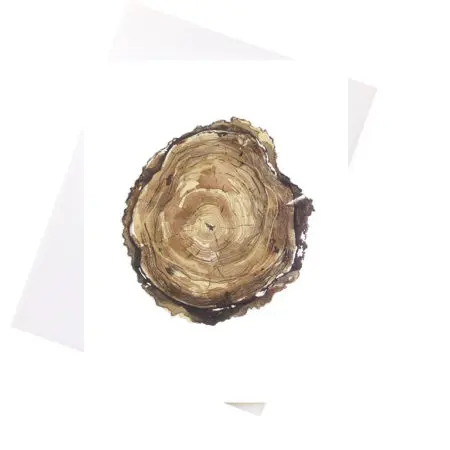 Niki Kingsmill Greeting Card - Tree Stump