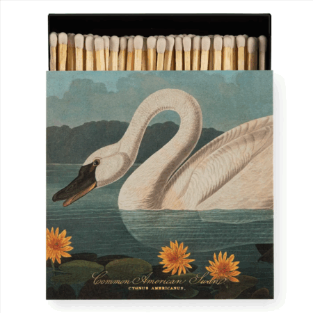 Archivist Gallery Matches - The Common American Swan