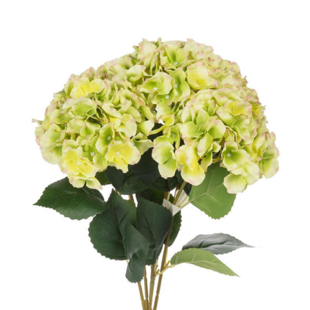 Abbott Hydrangea Bouquet - Green