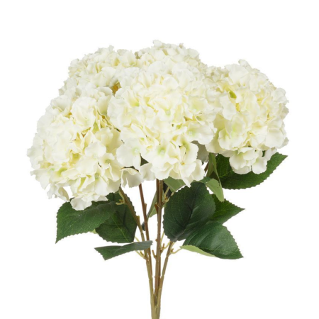 Abbott Hydrangea Bouquet - White
