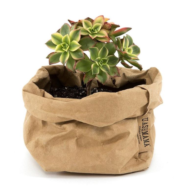 uashmama wine bolsa