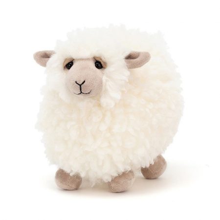 rolbie sheep