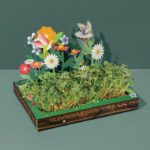 Modern Sprout Microgreens Pop Up Kit - Pollinator Habitat