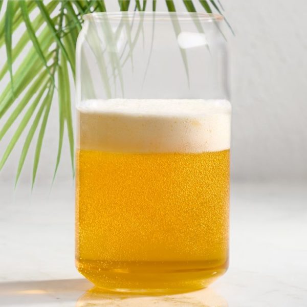 Trudeau Patio Beer Glasses - Set of 4