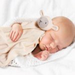 Abbott Cuddle Cloth - Sheep