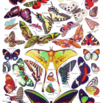 New York Puzzle Company - Butterflies - Image 2