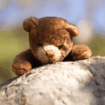 Bukowski Bears Bear - Ranger - Image 3