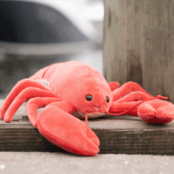 Bukowski Bears Lobster - Shelly - Image 3