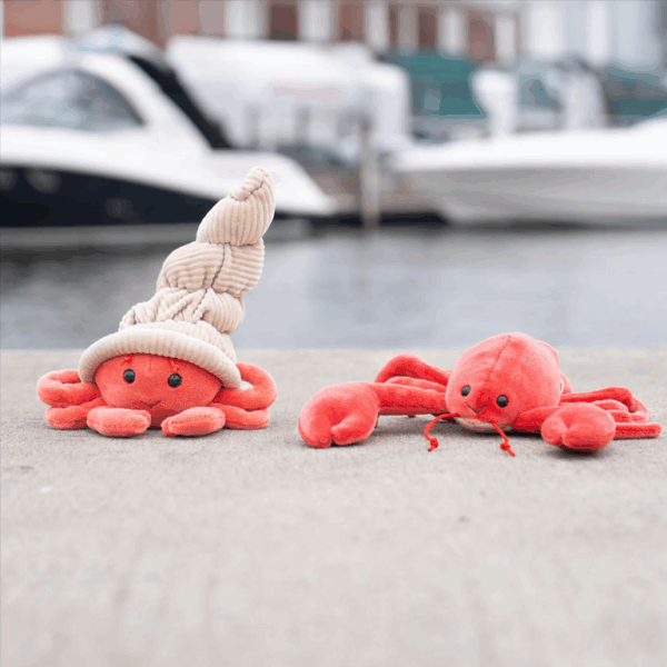 Bukowski Bears Lobster - Shelly - Image 2
