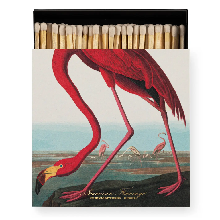 Archivist Gallery Matches - The American Flamingo