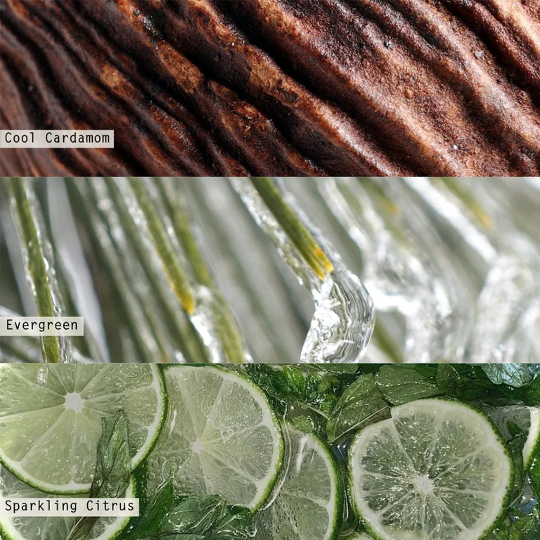 Illume Candle Trio Gift Set - Winter White - Image 3