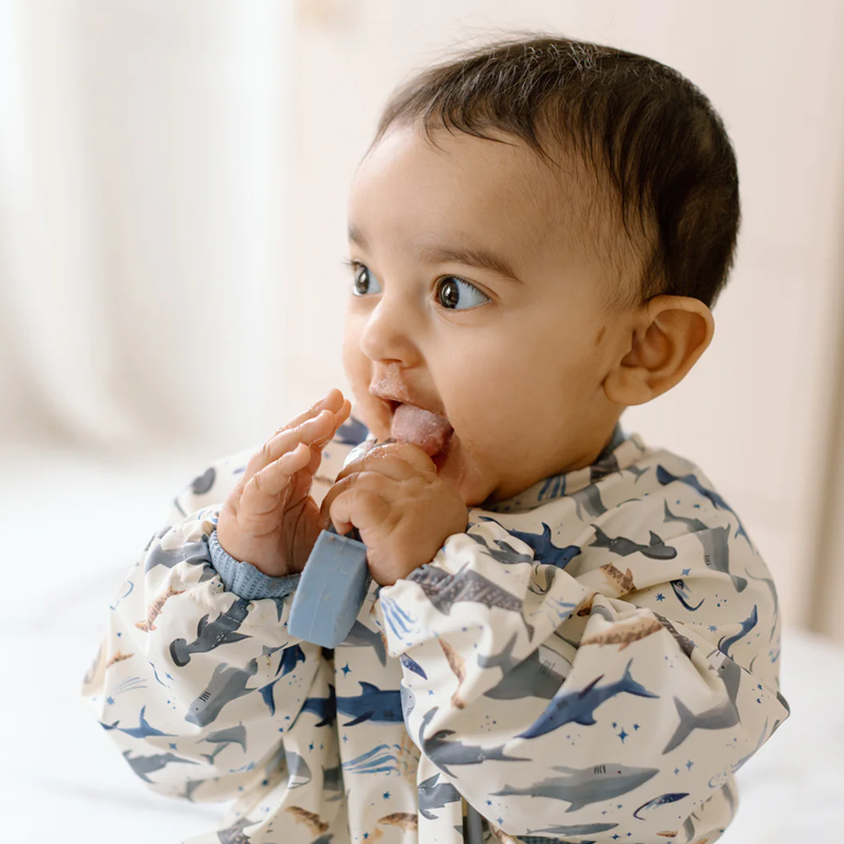 Loulou Lollipop Learning Utensils Set - Sarah Shark - Image 2