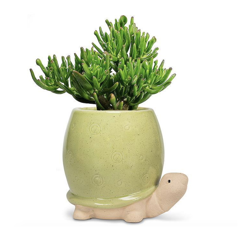 Abbott Planter - Turtle - Image 2